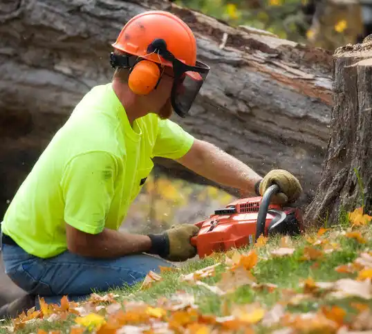 tree services Gaithersburg